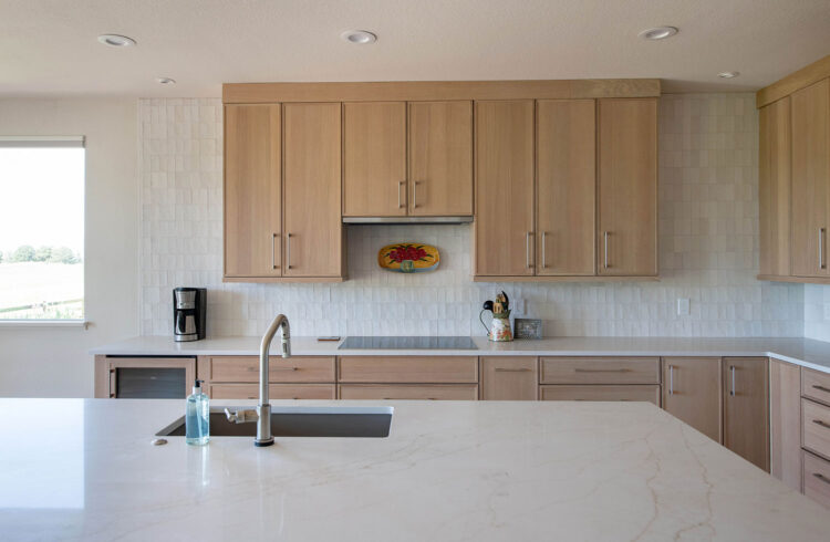 Jackson Project | Erie | Kitchen & Bathroom Remodel & Custom Cabinetry