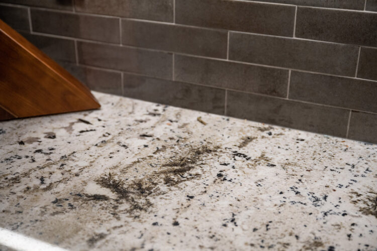 Guest Project | Lakewood | Kitchen Remodel & Eclipse Cabinetry