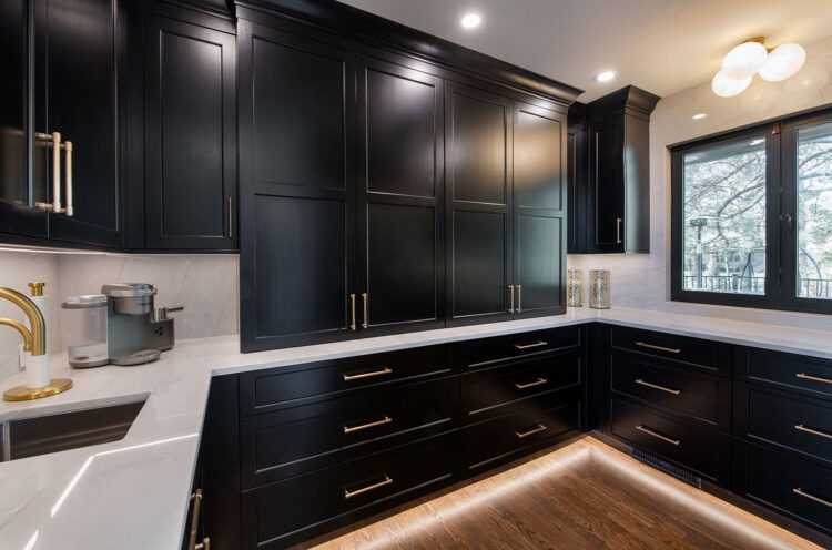 Butler's Pantry Design and Cabinetry - Project Photo 2